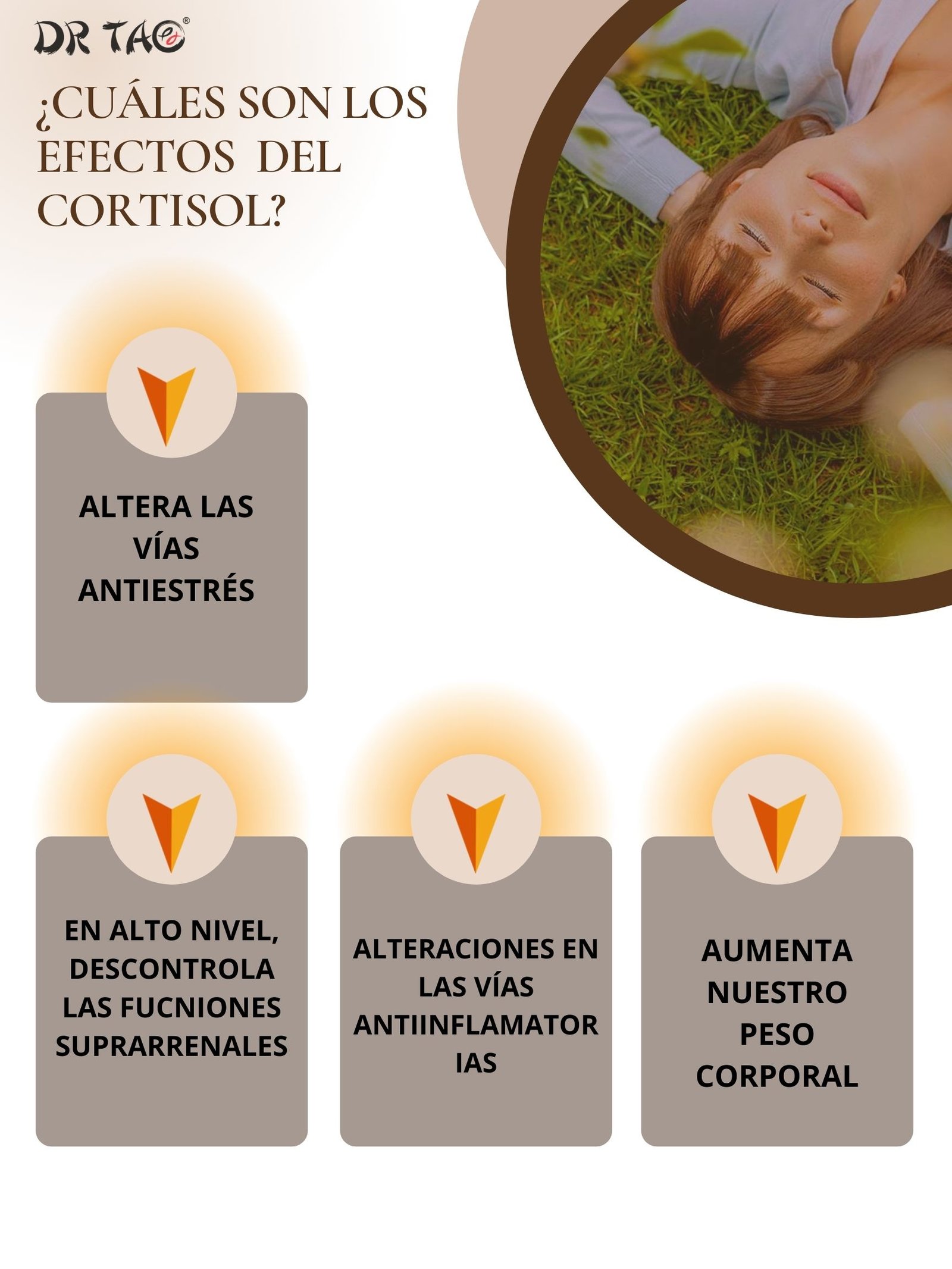 El estrés y cortisol ¿Cómo afecta al peso de nuestro cuerpo? - AntiEstress
